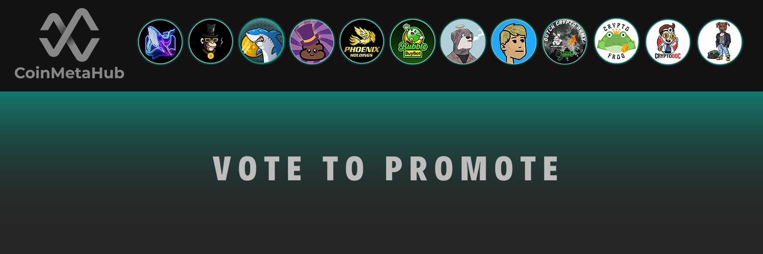 CoinMetaHub banner