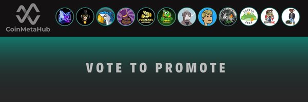 CoinMetaHub Profile Banner