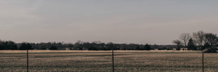 Emily Bowen Cohen banner