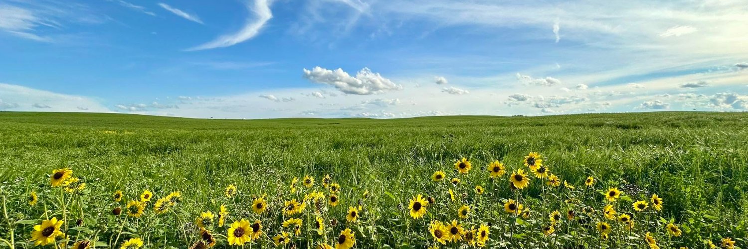 GinaLMayor's profile banner image
