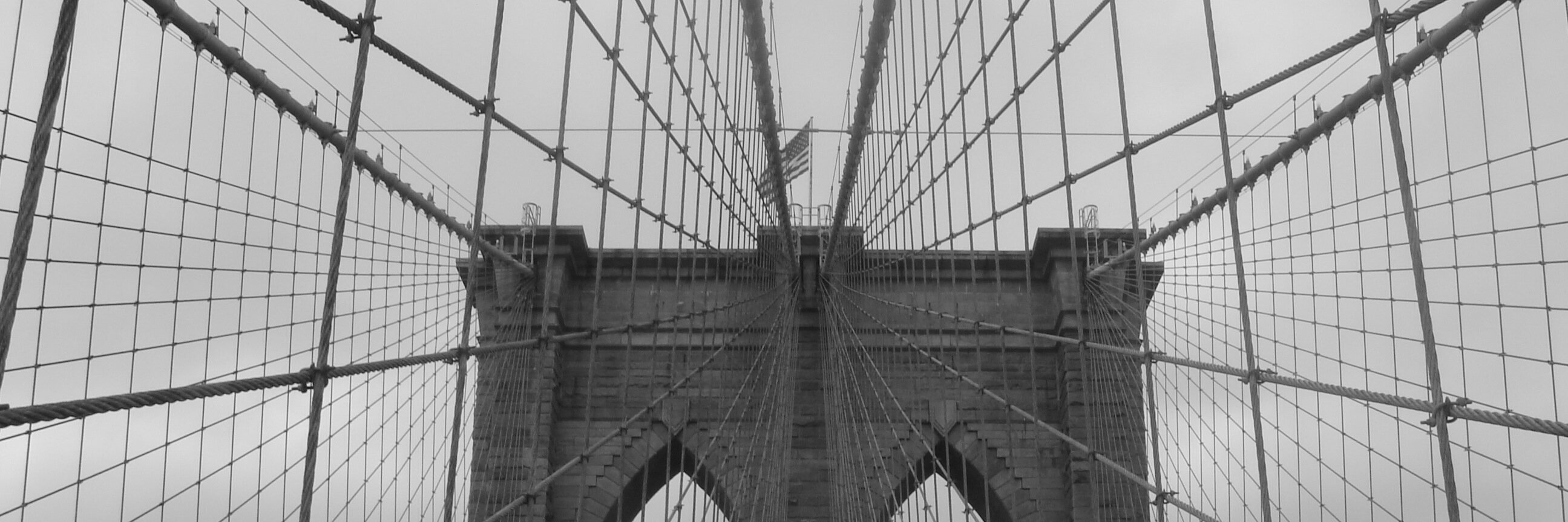 TimothyRusso's profile banner image