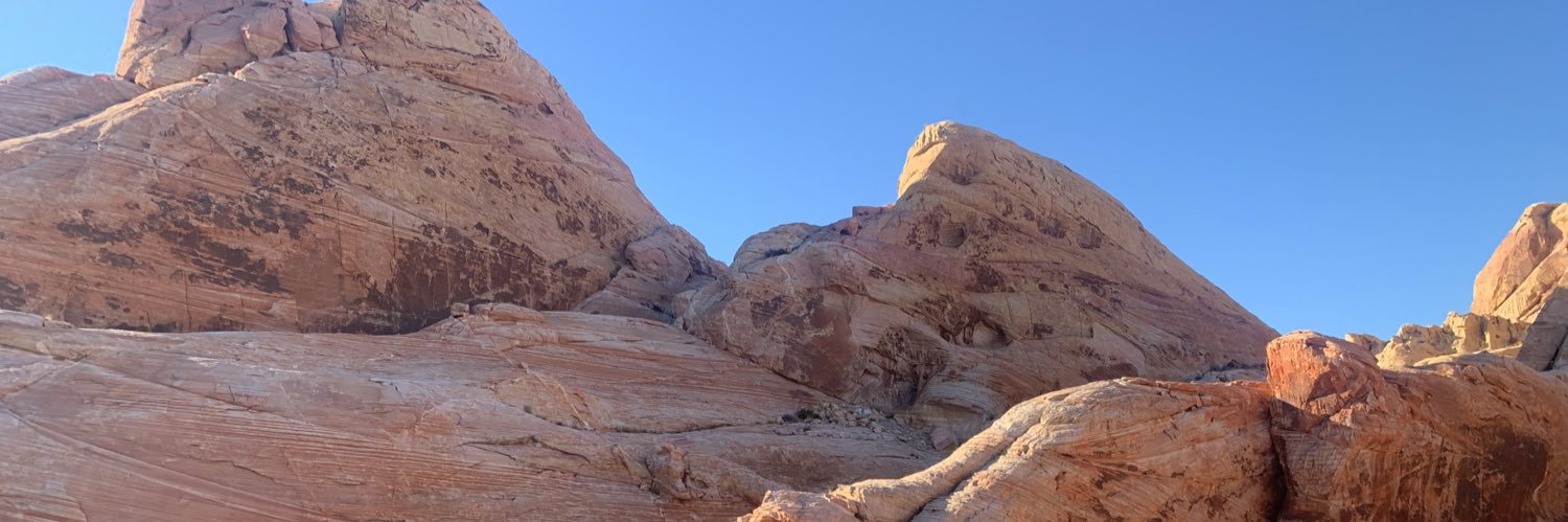 Domenica Sutherland PT, DPT, CLT banner