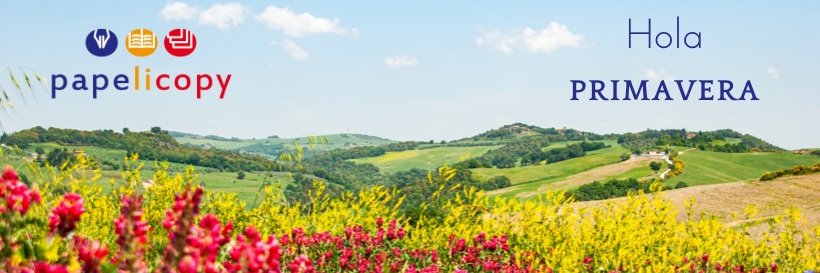 papelicopy's profile banner image