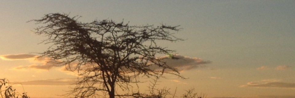 ObrianMundia's profile banner image