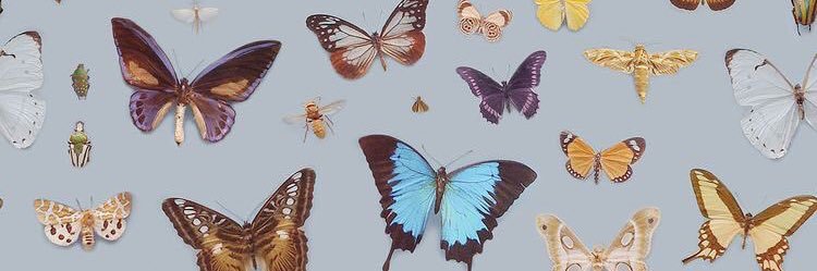 darcydoII's profile banner image