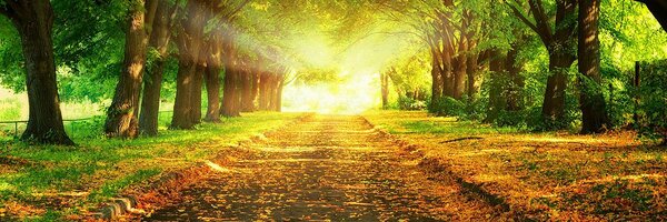 ayesharaza10 Profile Banner