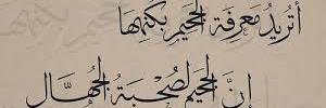 alikhalidh's profile banner image