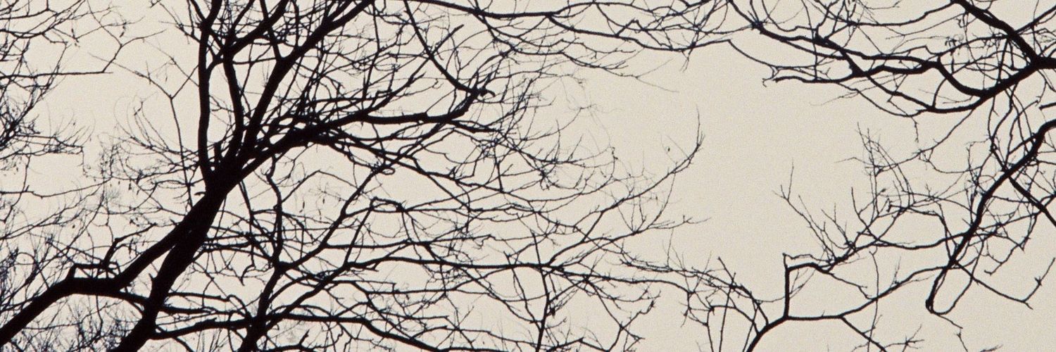 Alleumn's profile banner image