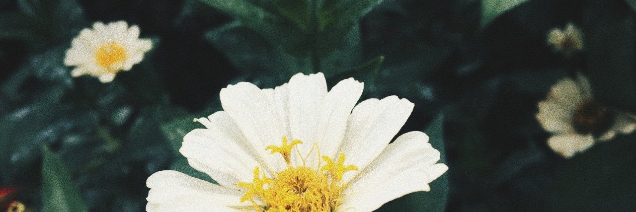 𝒻𝑒𝒷𝑒𝒽 𝒾𝓈 𝓋𝒾𝒷𝑒 banner