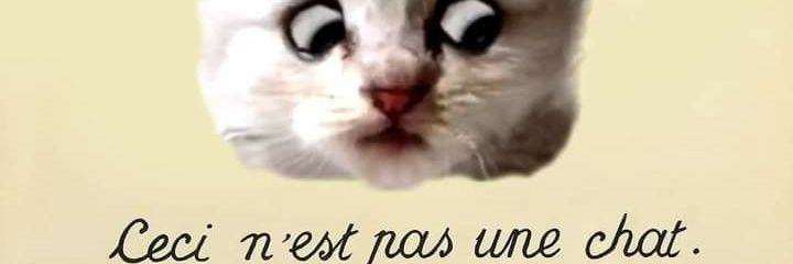adereys's profile banner image