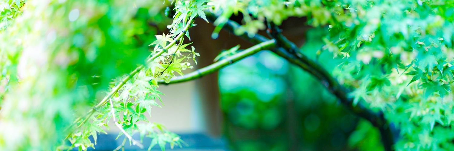 SHINGO5964's profile banner image