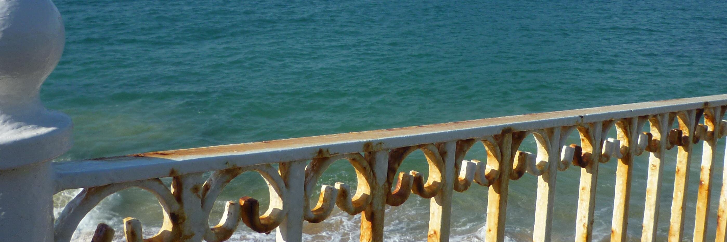entpvision's profile banner image