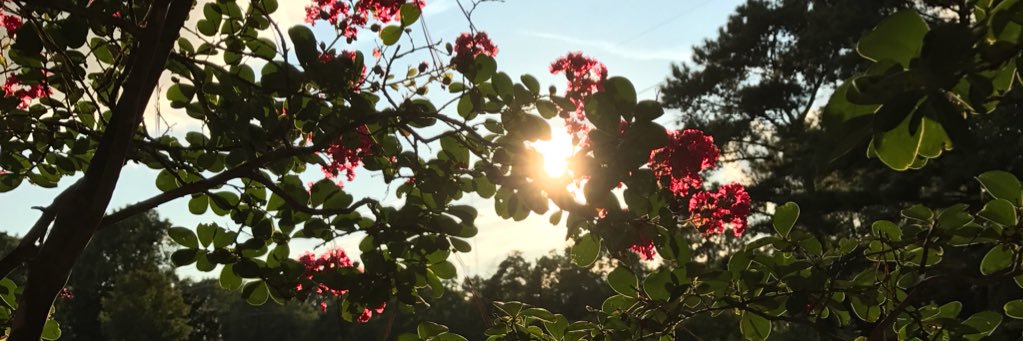 Coston_06's profile banner image