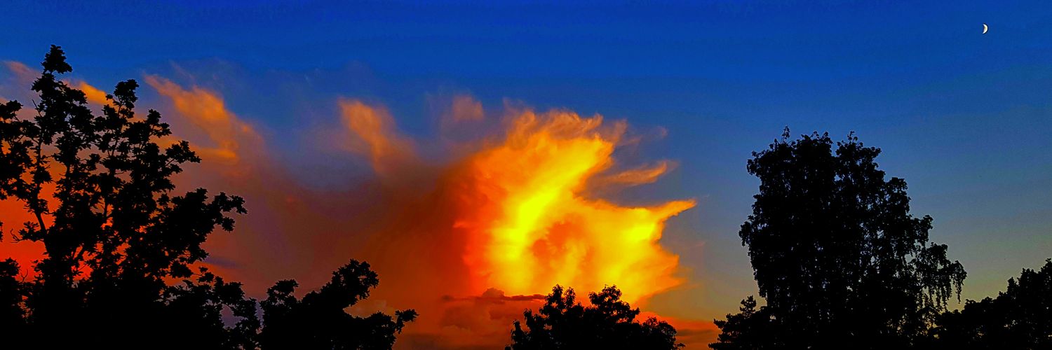 Tuomo Suomalainen banner