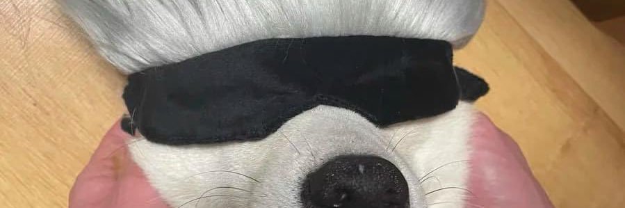 modern_after's profile banner image