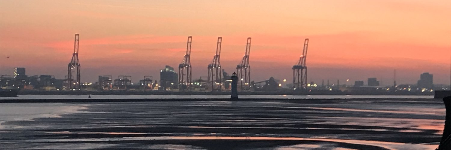 swanick10's profile banner image