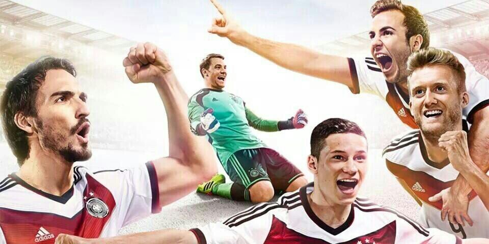 apictom's profile banner image