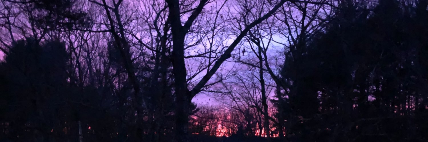 rjalbert61's profile banner image