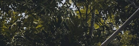 Irsyad banner