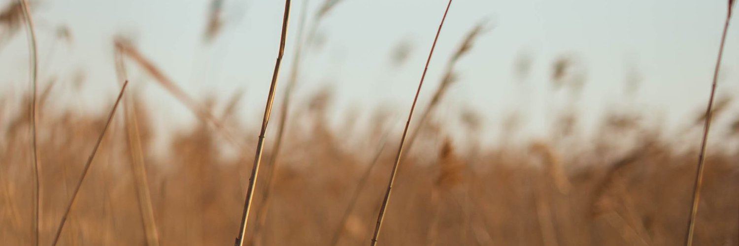 radom008's profile banner image