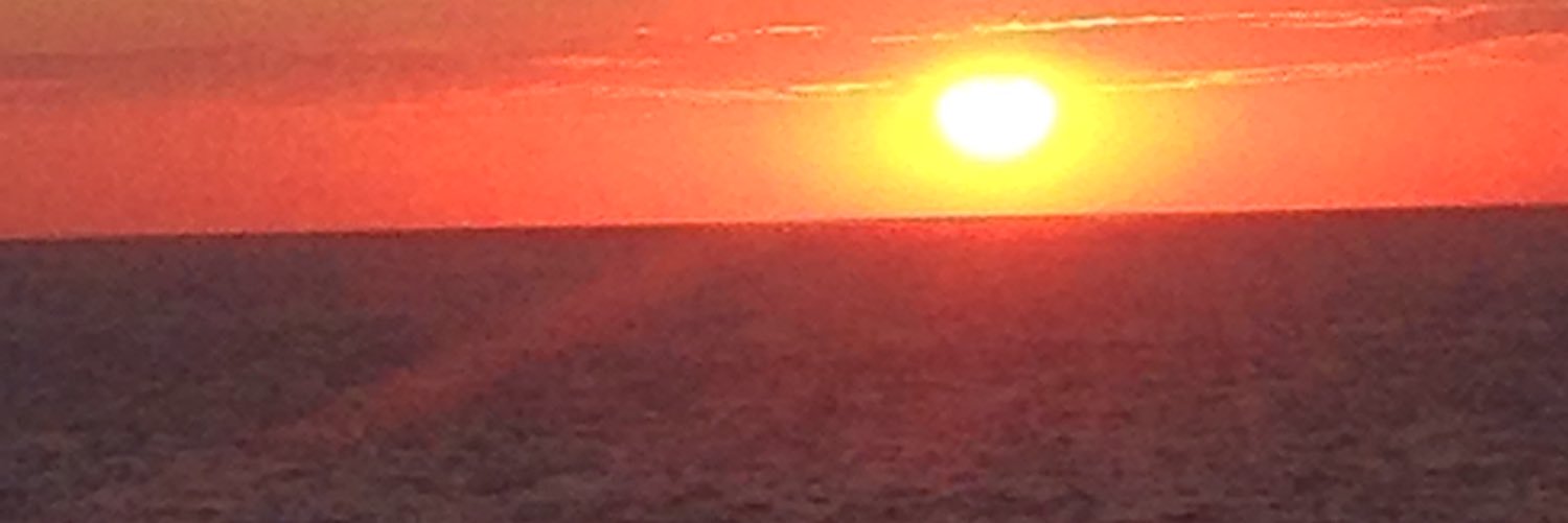MRappanello's profile banner image