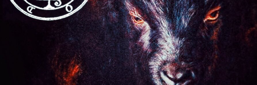 maloorozc0's profile banner image