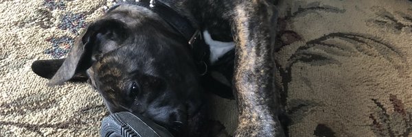 Iamcombo Profile Banner