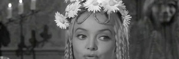 alliecsays Profile Banner