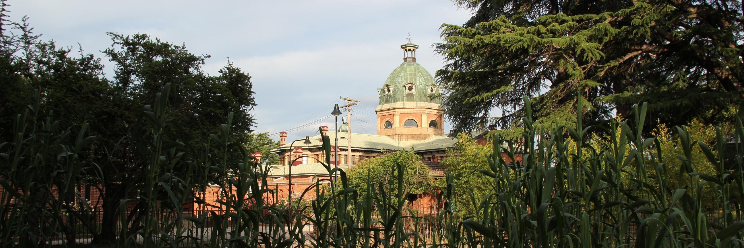 ChamberBathurst's profile banner image