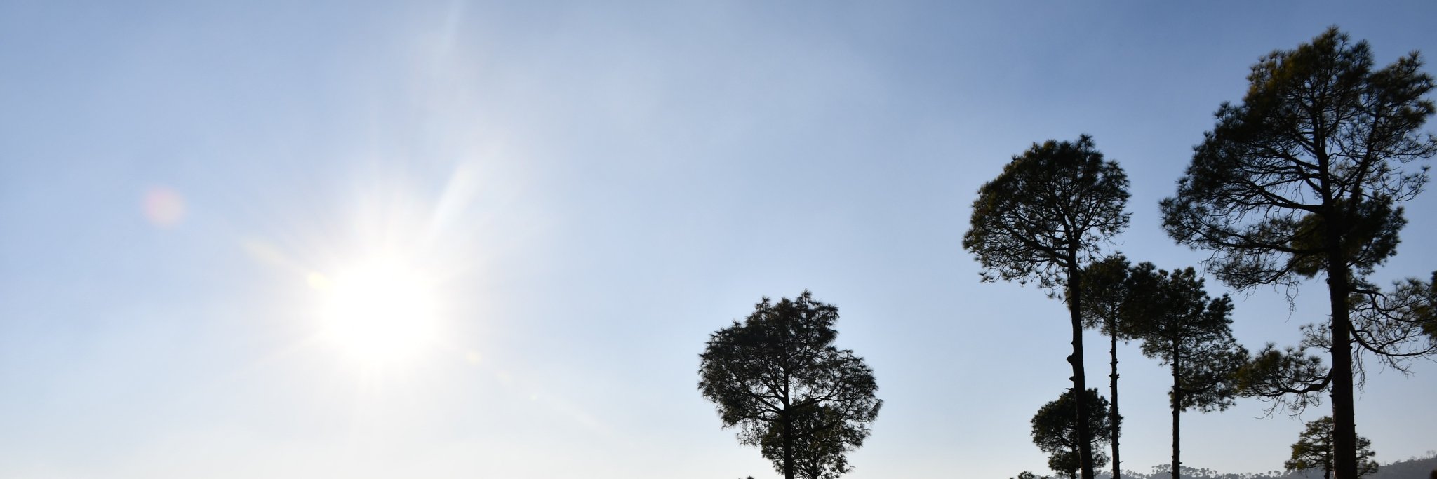 SumbulCh's profile banner image