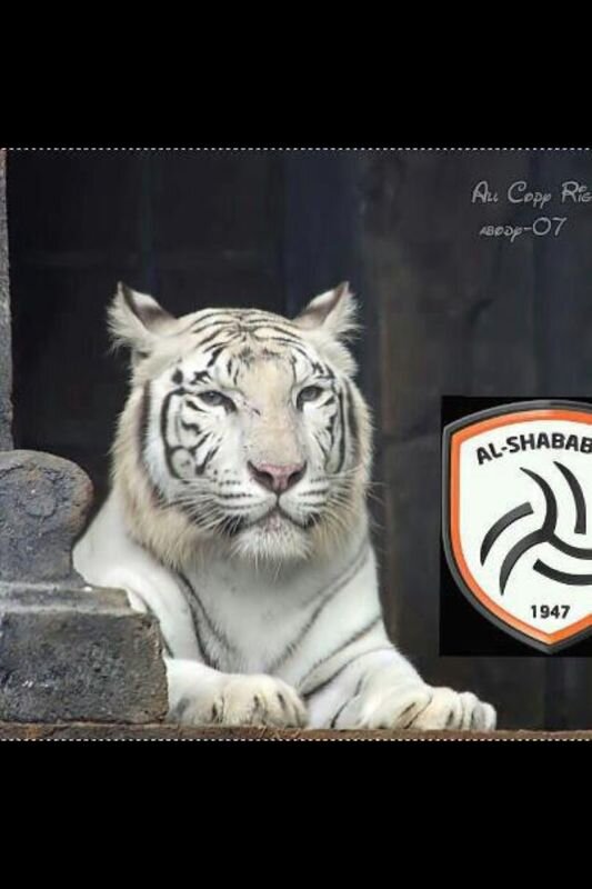 rayan1818's profile banner image