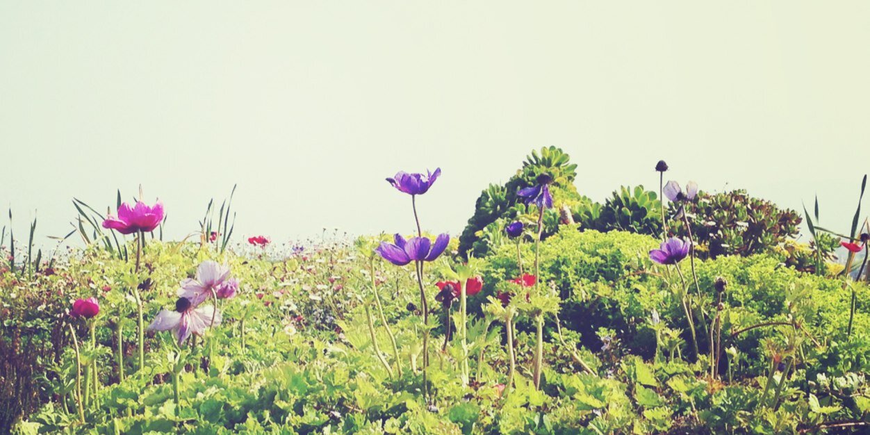 mayu890802's profile banner image