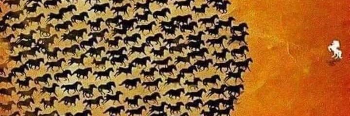 atfshz's profile banner image