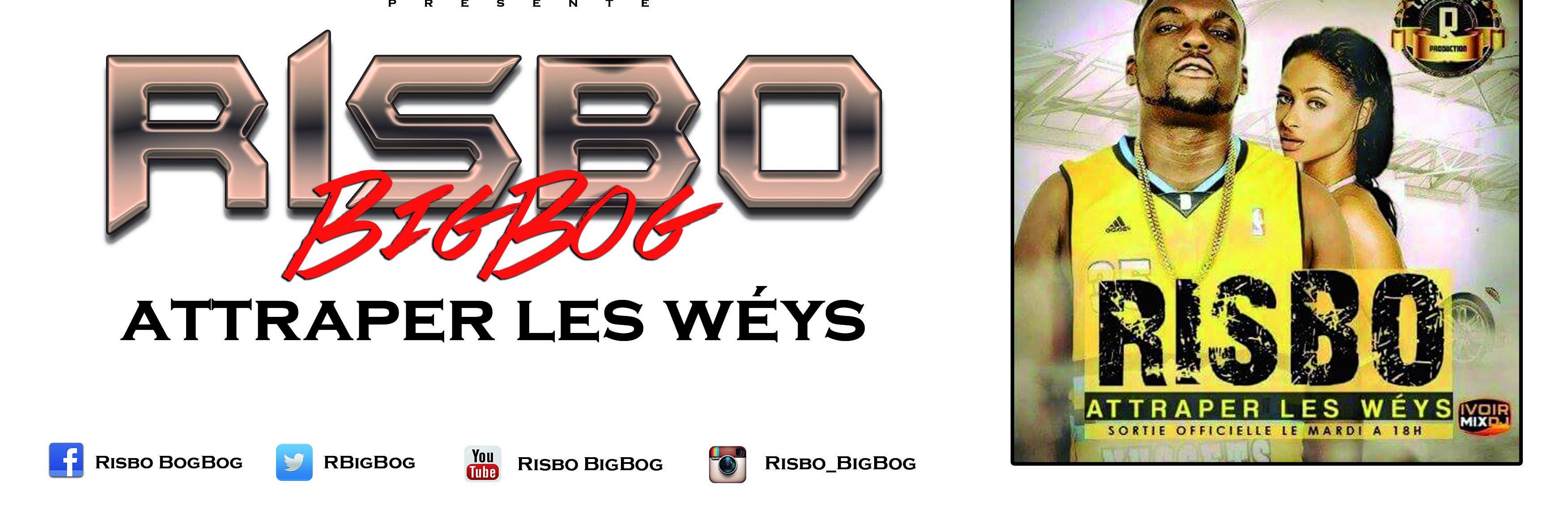 RisboBigBog's profile banner image