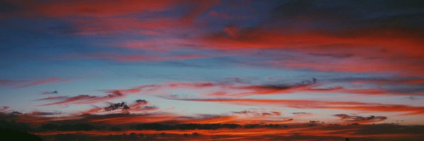 taylor_letsoalo's profile banner image