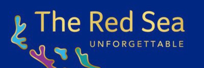 SSA1391AS's profile banner image