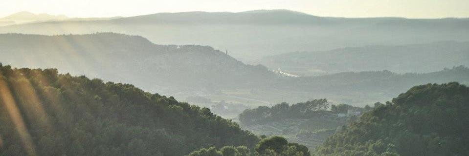 Carsten Reymann banner