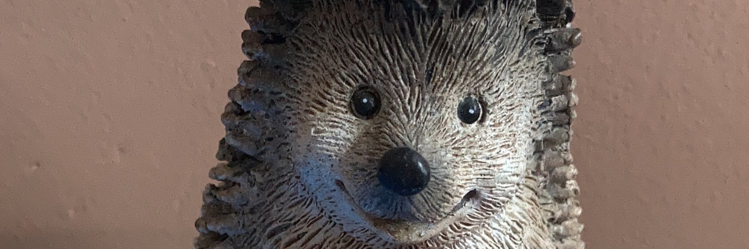 Julie Carson (Law) banner