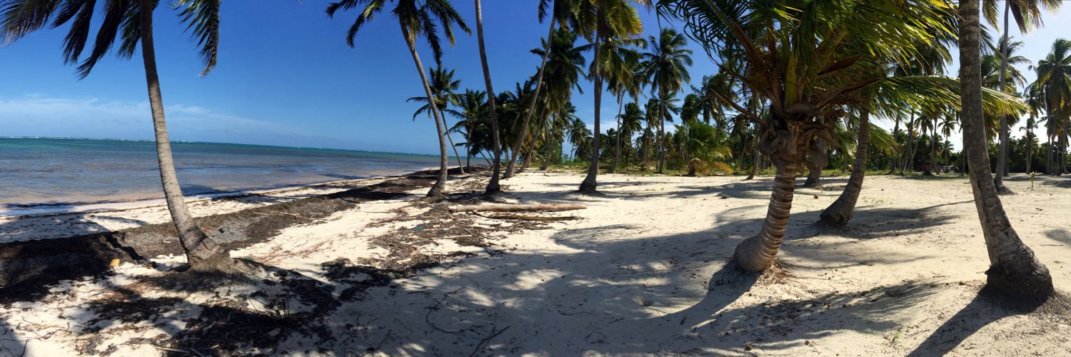 Wendy Dolipschi banner