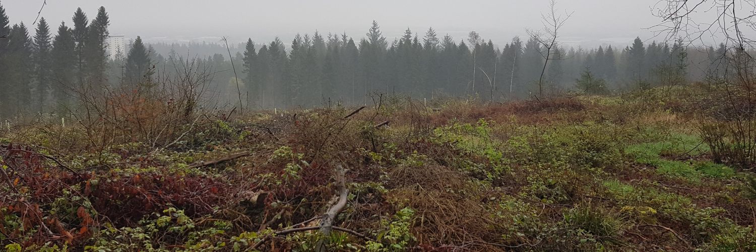 gregorl82's profile banner image