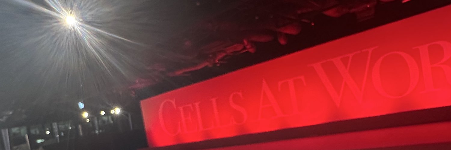 𝒥𝓊𝓇𝒾 banner