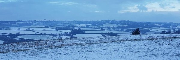 Raveonette99 Profile Banner