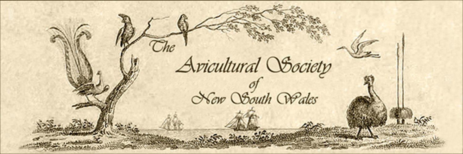 AvicultureNSW's profile banner image