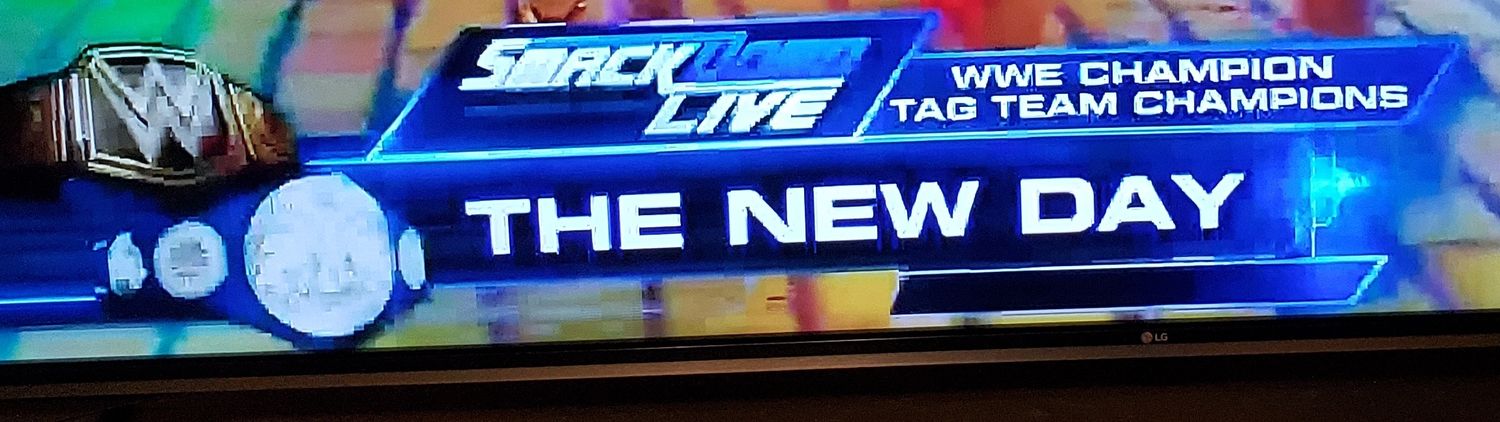 Young Midoryia banner