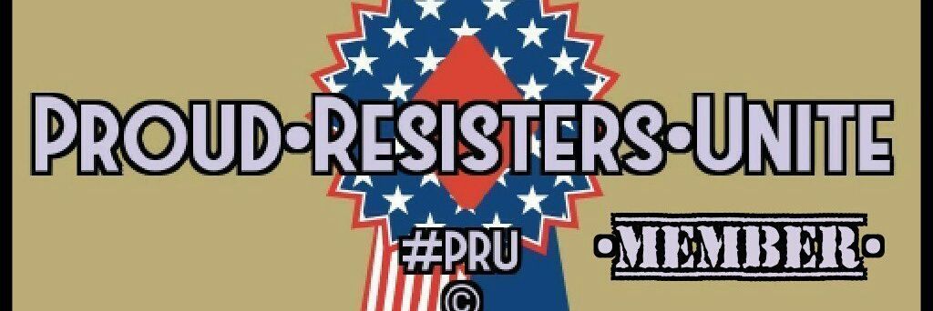 MI_Lib1956's profile banner image