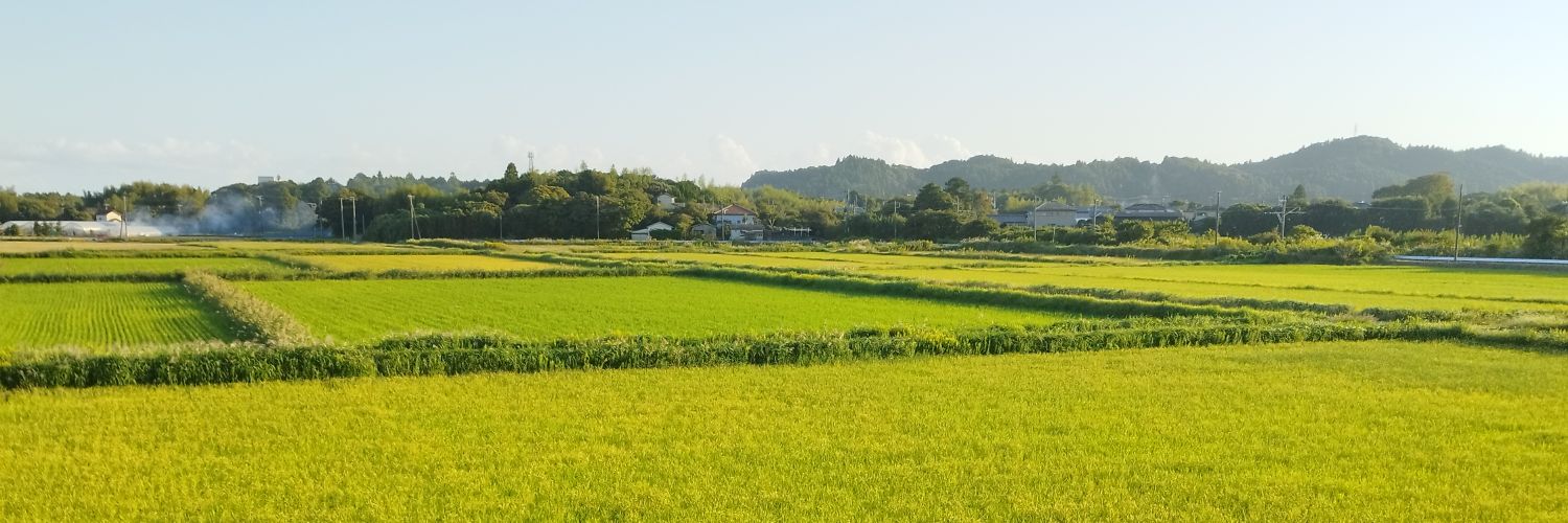 がっちゃ🇯🇵🇳🇿🇦🇺 banner