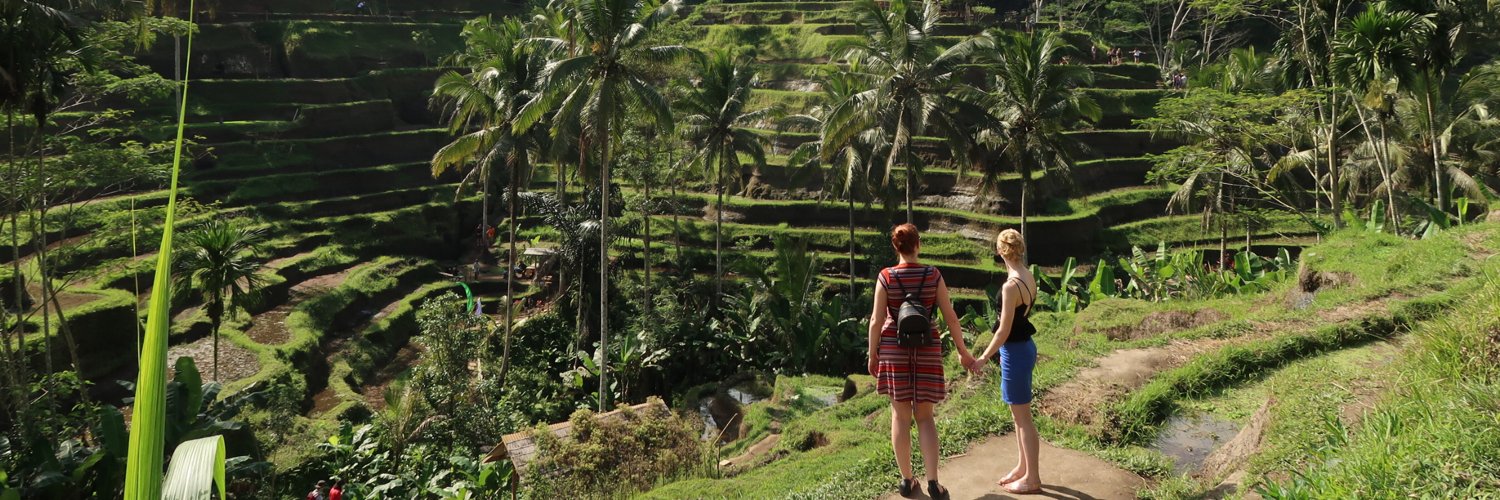 Emily Collins-Ellis (she/her) banner