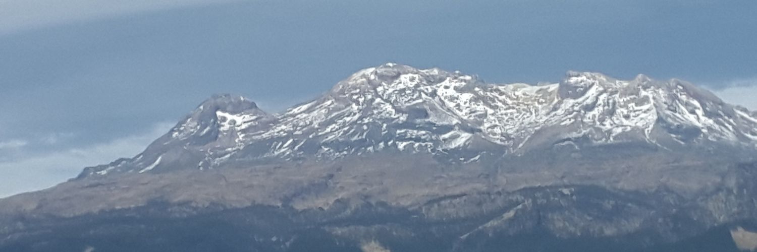 BRENDALILI10's profile banner image