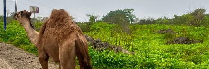 Agson78's profile banner image