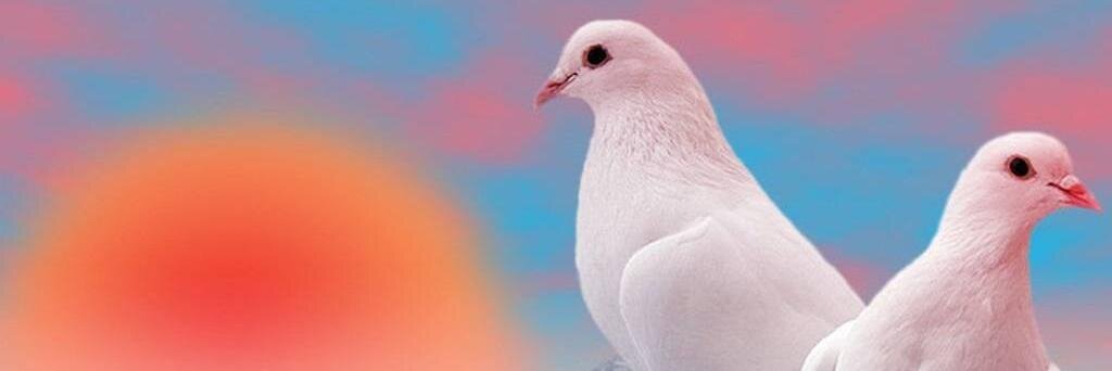 maruthubooma's profile banner image